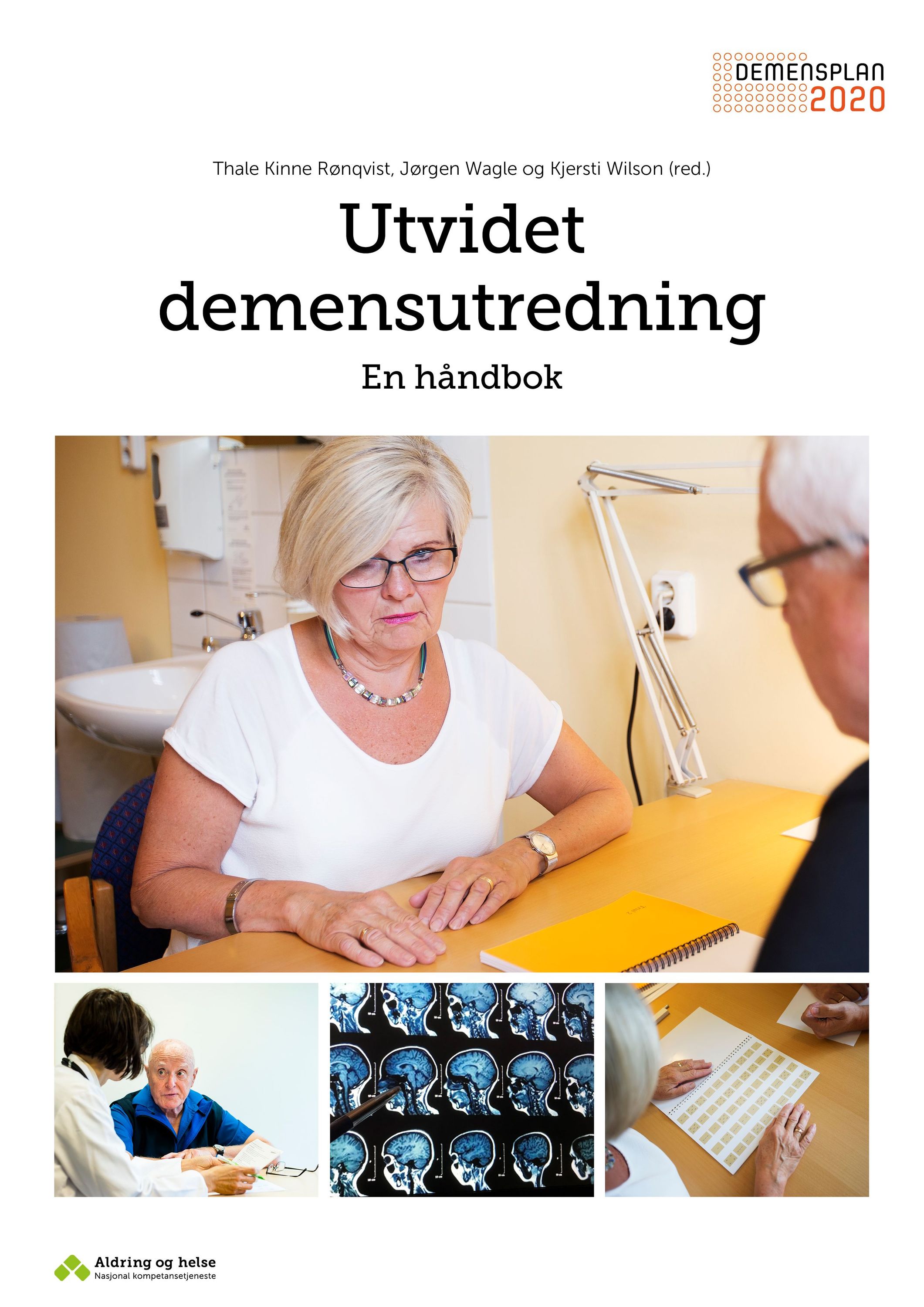Utvidet demensutredning : en håndbok