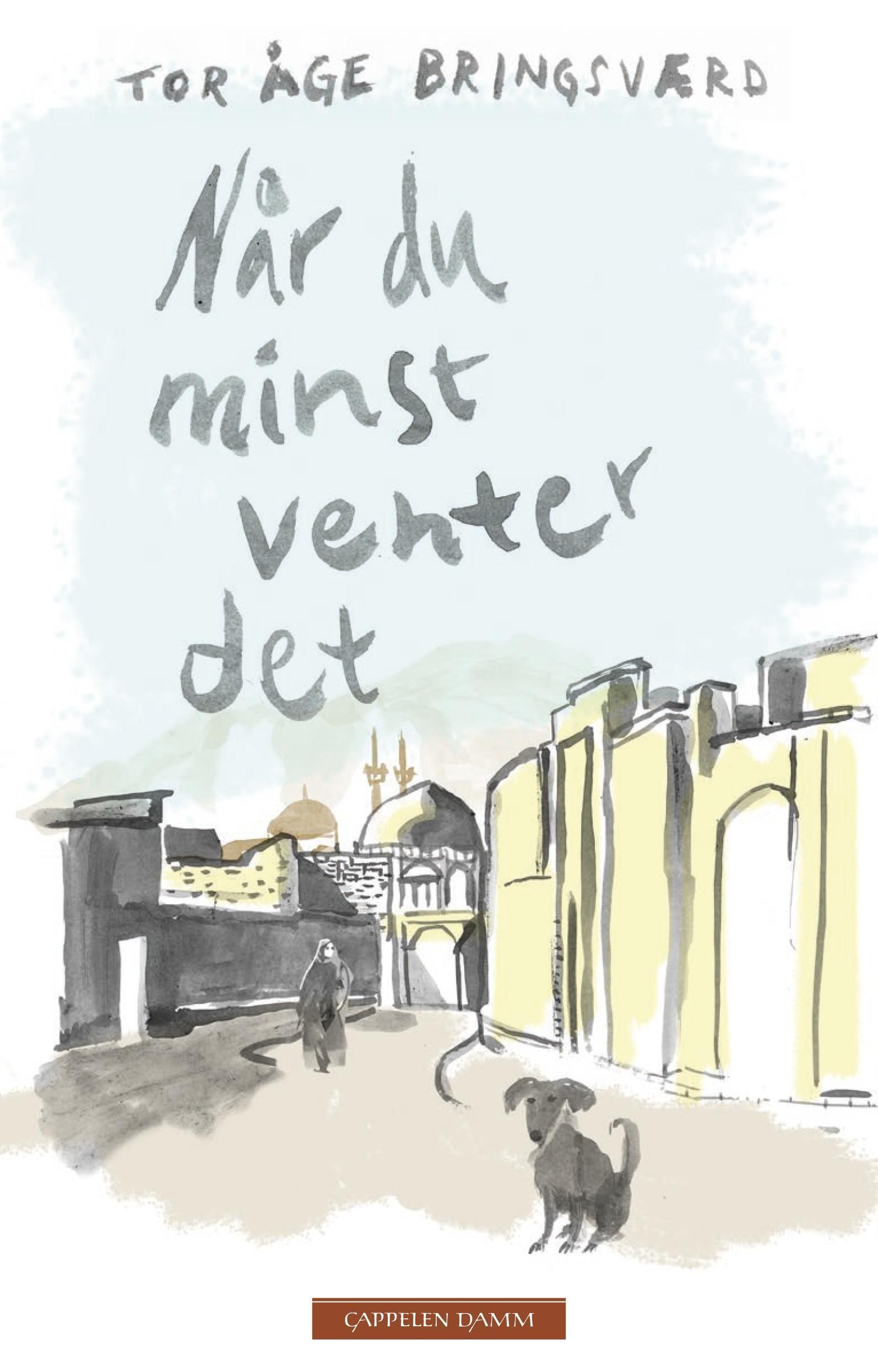 Når du minst venter det : fragmentroman