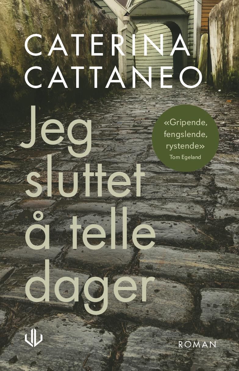 Jeg sluttet å telle dager : roman