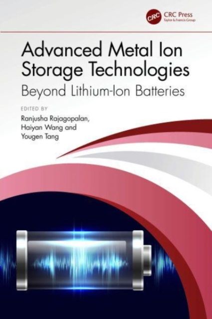 Advanced Metal Ion Storage Technologies : Beyond Lithium-Ion Batteries
