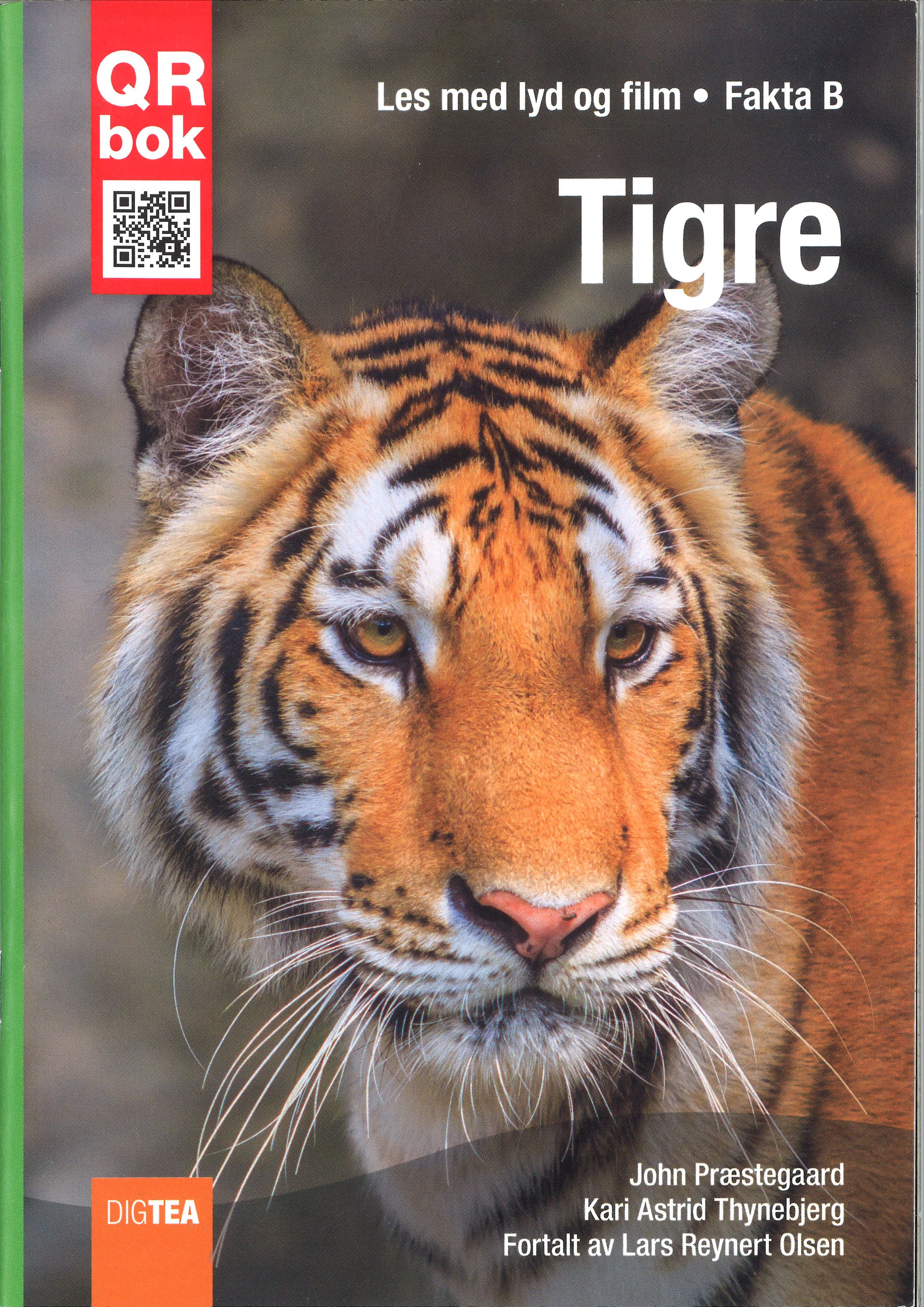 Tigre