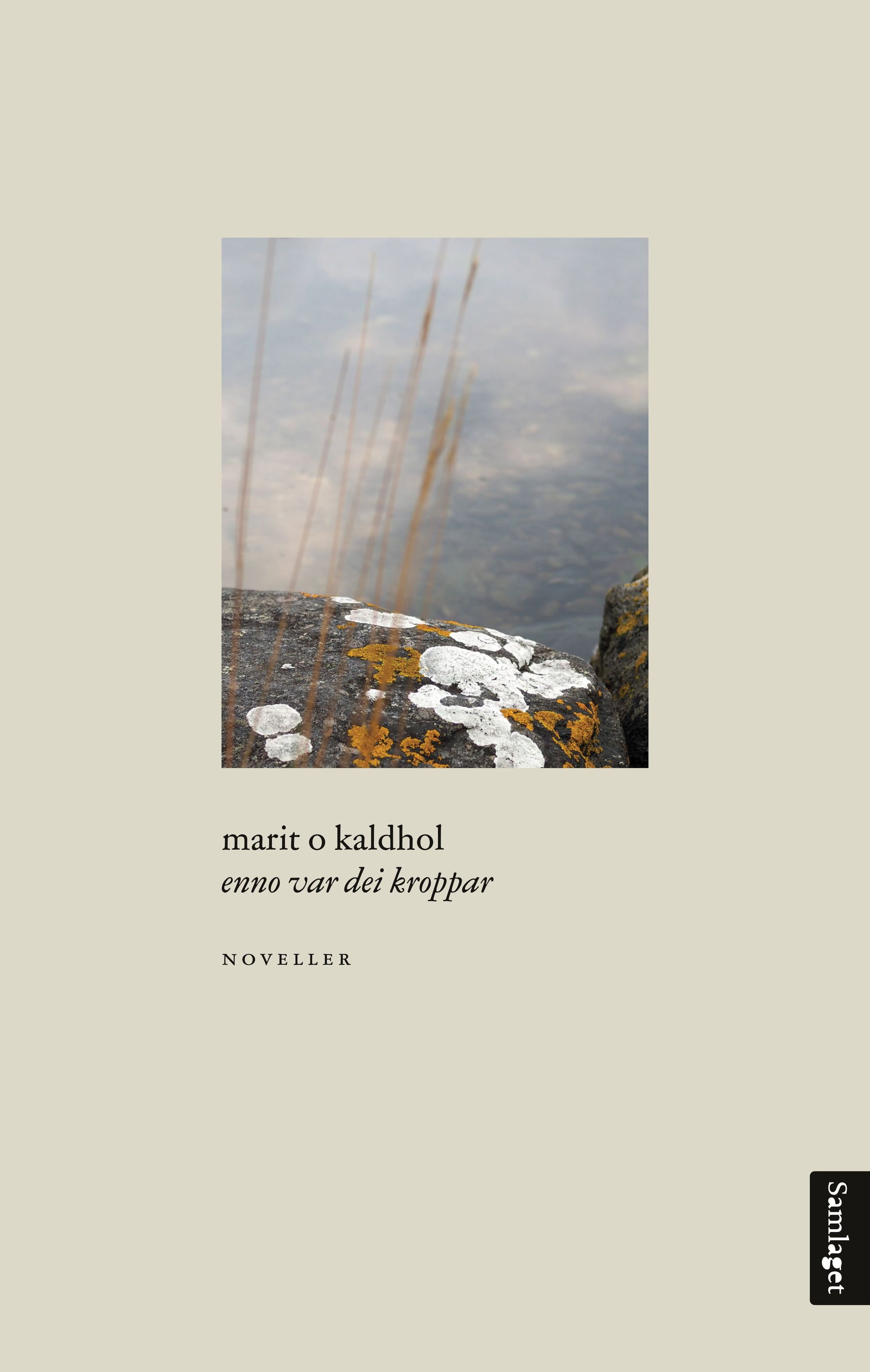 Enno var dei kroppar : noveller
