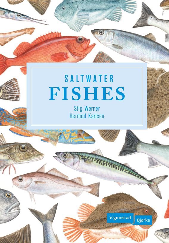 Salt water fishes
