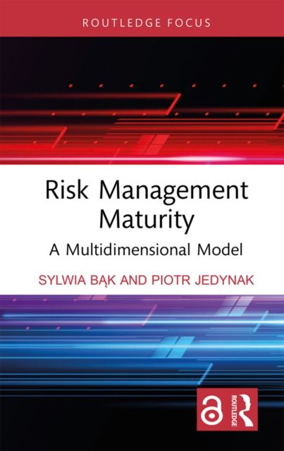 Risk Management Maturity : A Multidimensional Model