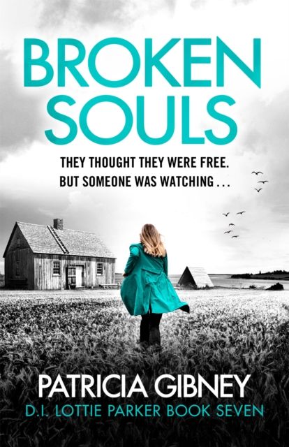 Broken Souls : An absolutely addictive mystery thriller with a brilliant twist