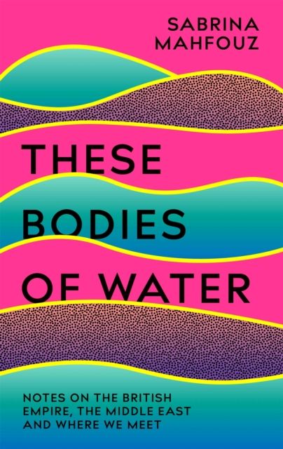 These Bodies of Water : A Personal History of the British Empire in the Middle East