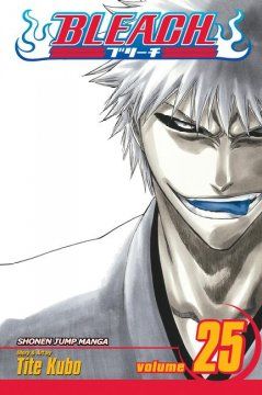 Bleach. vol. 25. No shaking throne