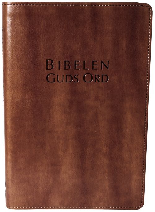 Bibelen : Guds ord