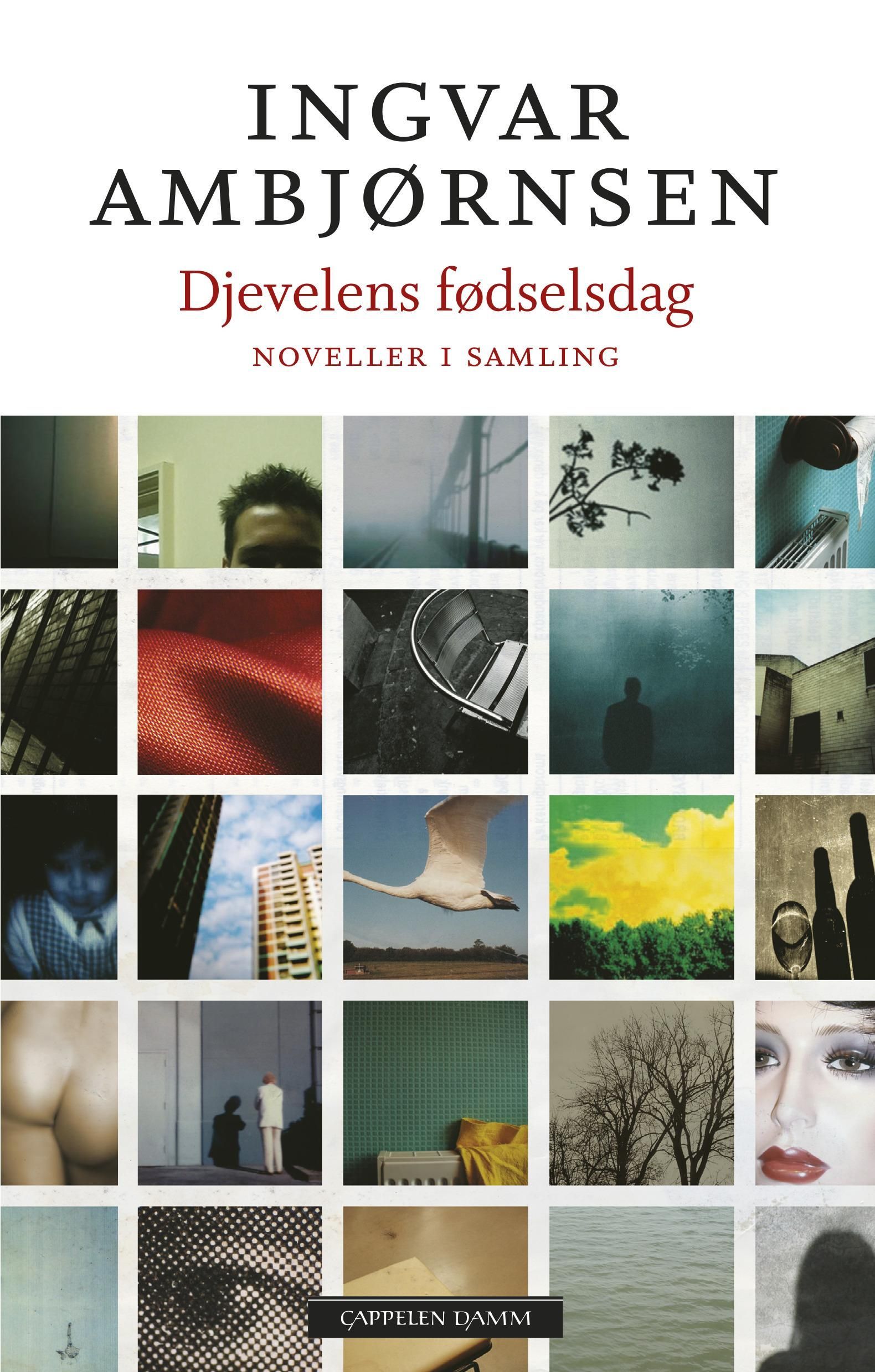 Djevelens fødselsdag : noveller i samling