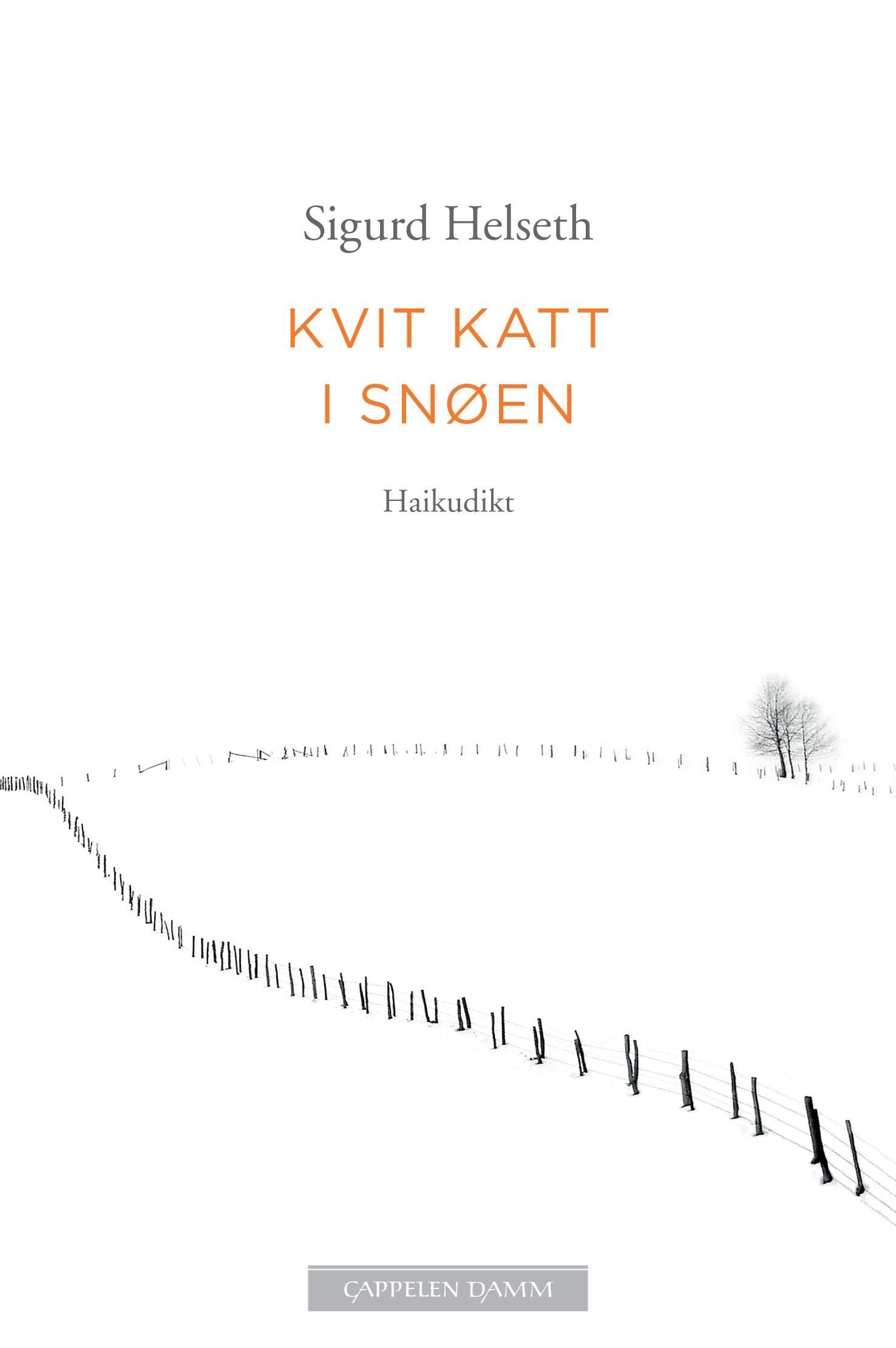 Kvit katt i snøen : haikudikt
