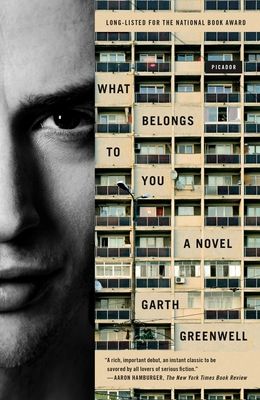 What Belongs to You : A Novel