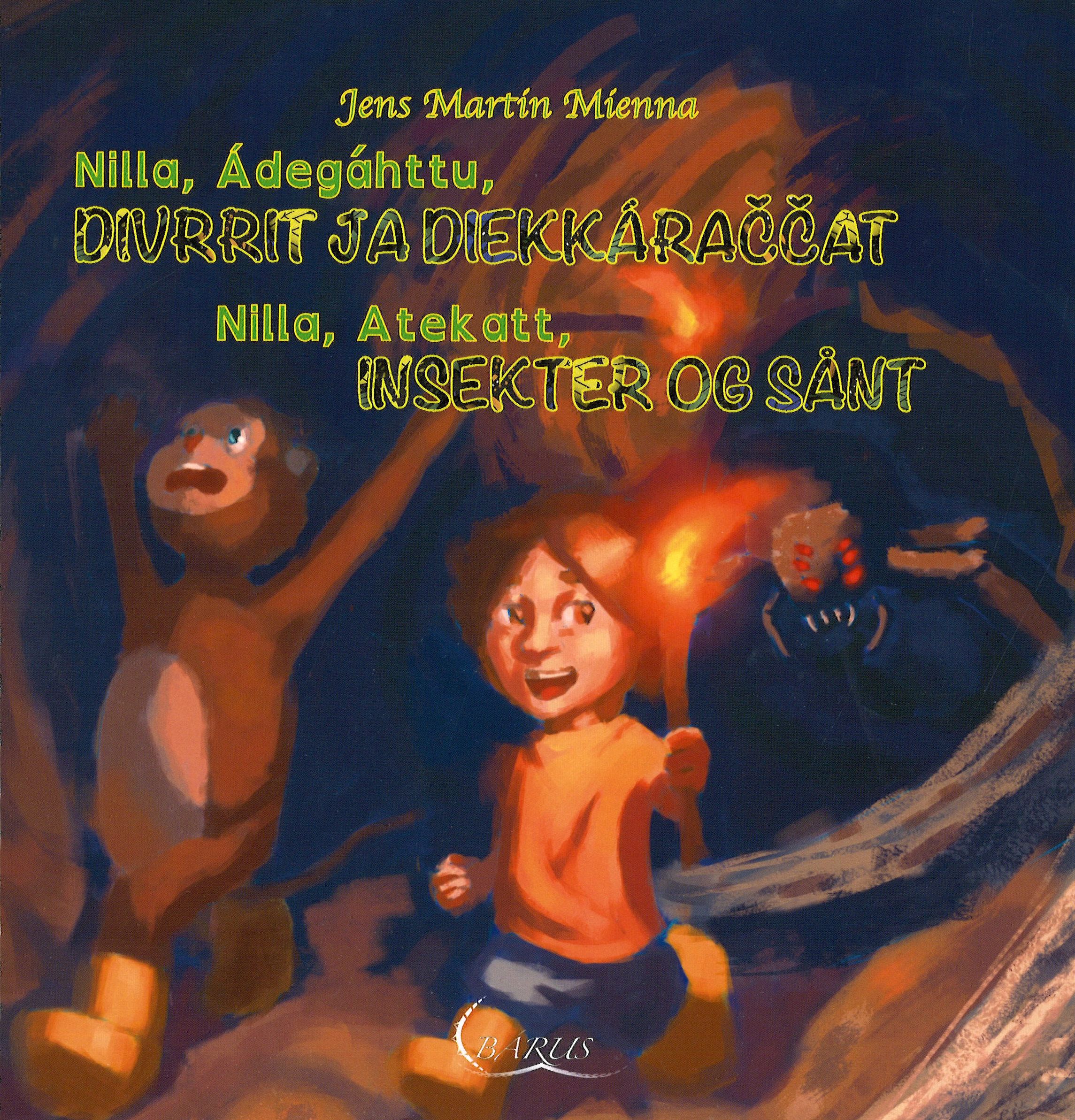 Nilla, Ádegáhttu, divrrit ja diekkáraccat