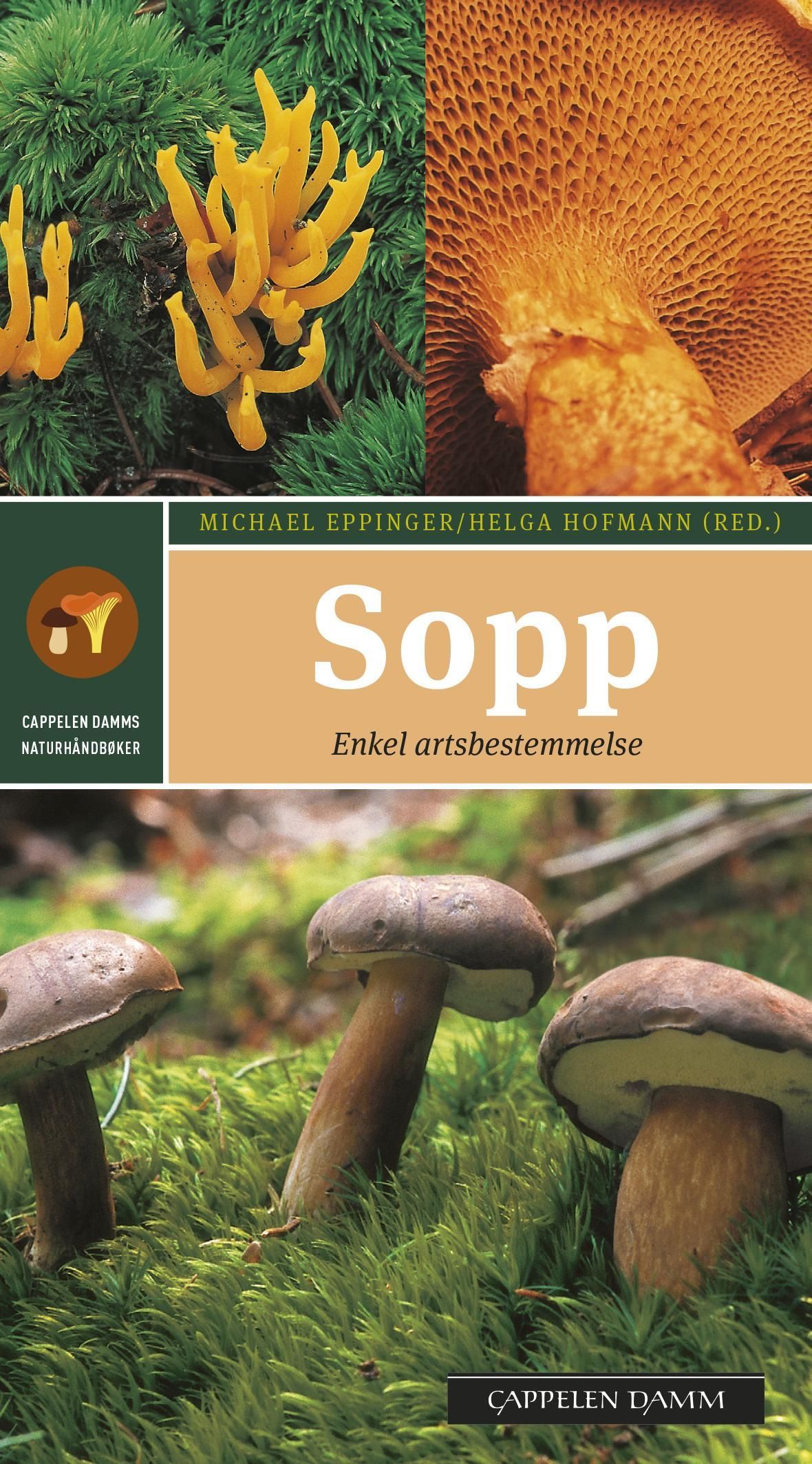 Sopp : enkel og sikker artsbestemmelse