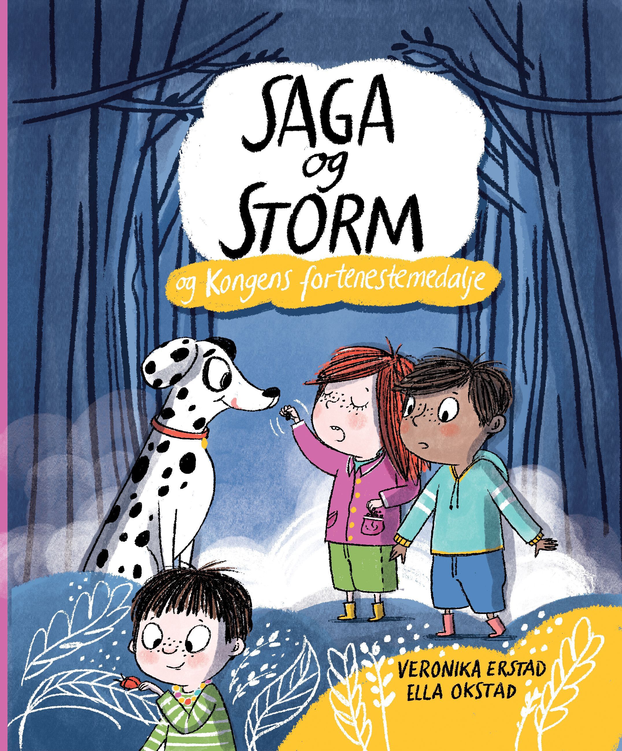 Saga og Storm og kongens fortenestemedalje : roman