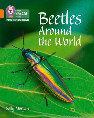 Beetles Around the World : Band 06/Orange