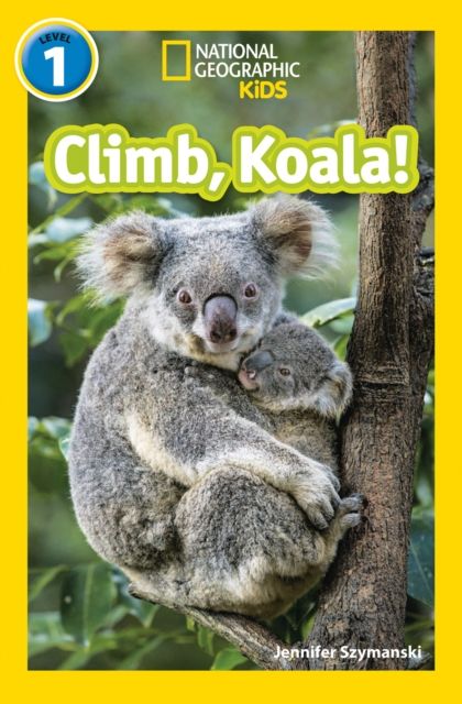 Climb, koala!