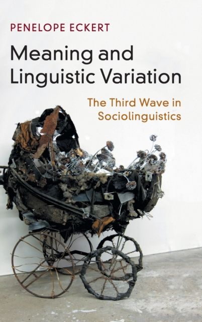 Meaning and Linguistic Variation : The Third Wave in Sociolinguistics