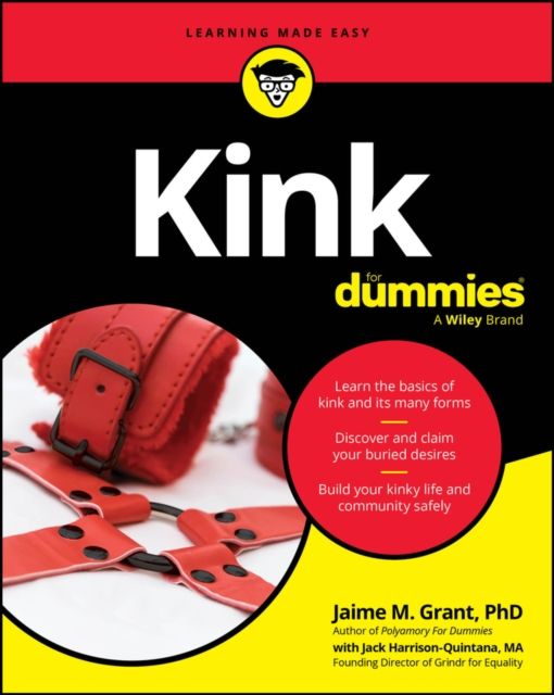 Forsidebilde av Kink For Dummies