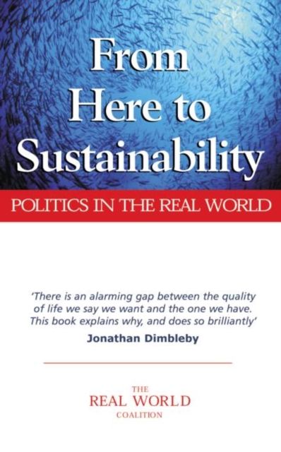 From Here to Sustainability : Politics in the Real World