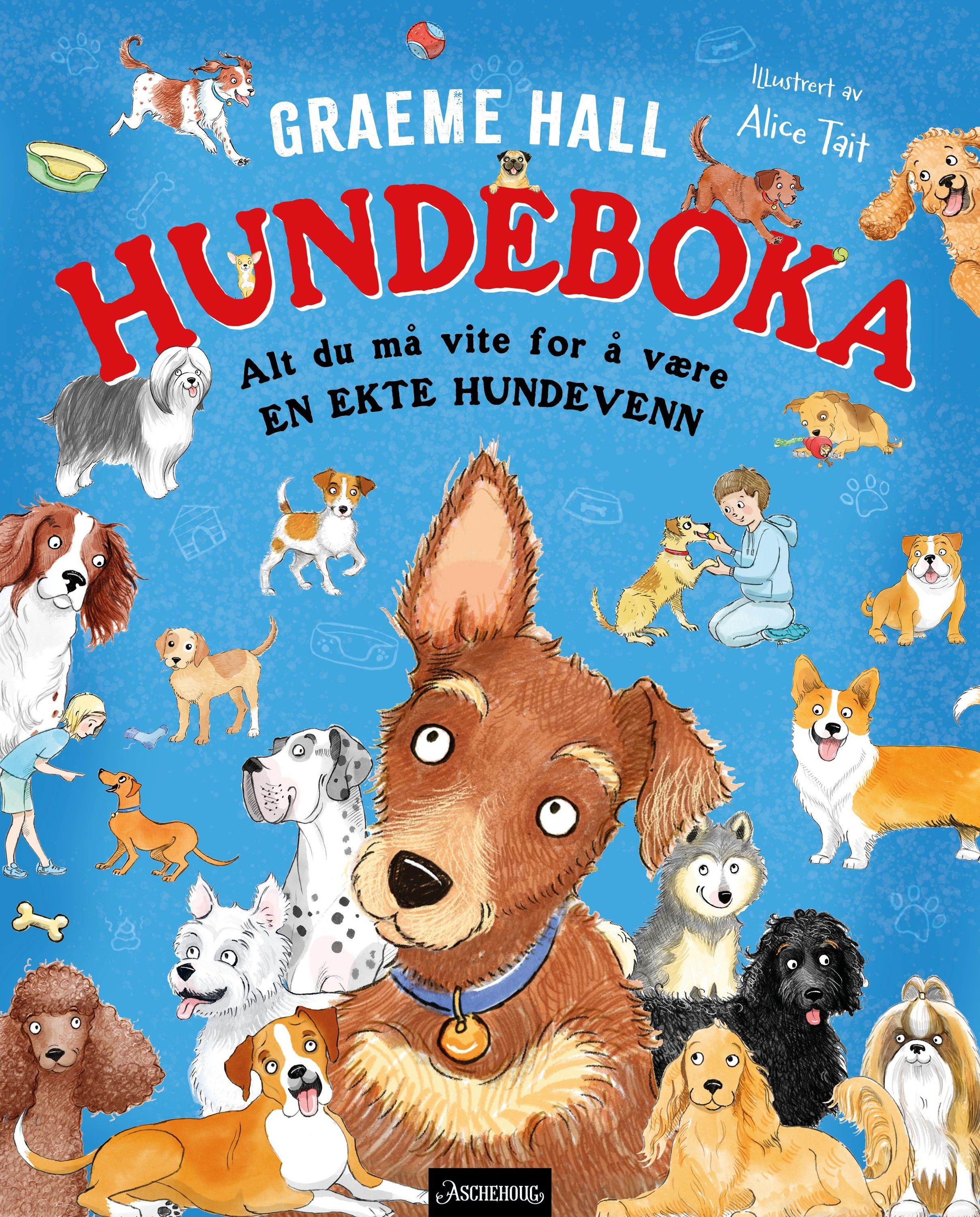 Hundeboka : alt du må vite for å være en ekte hundevenn