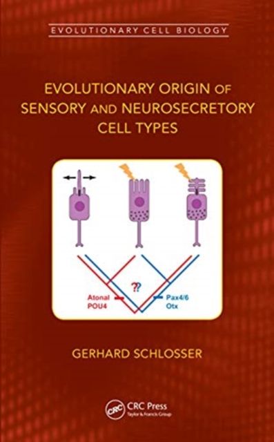 Evolutionary Origin of Sensory and Neurosecretory Cell Types : Vertebrate Cranial Placodes, volume 2