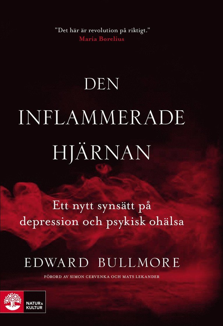 Den inflammerade hjärnan
