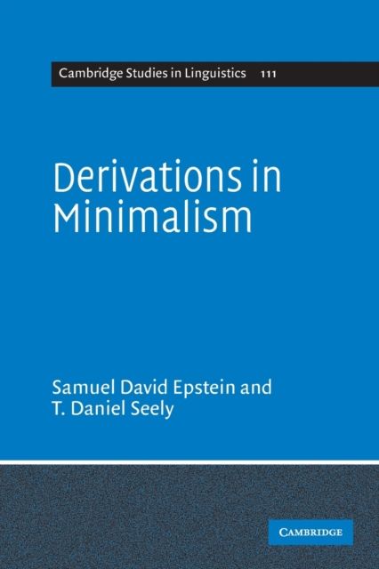 Derivations in Minimalism
