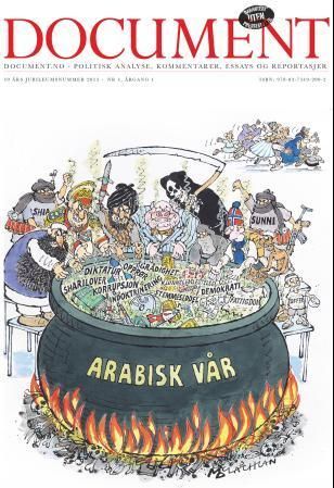 Document. Nr. 1 2013 : Document.no - politisk analyse, kommentarer, essays og reportasjer : 10. års jubileumsnummer