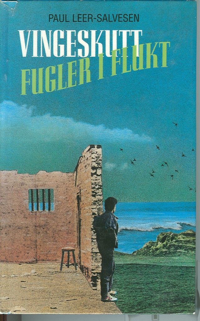 Vingeskutt : fugler i flukt
