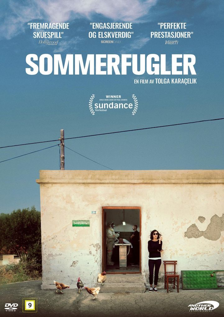 Sommerfugler