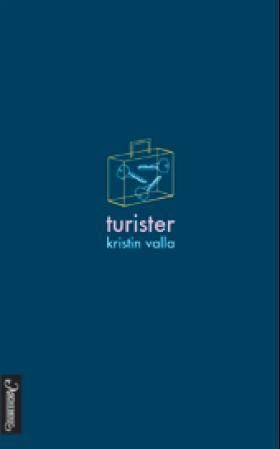 Turister : roman