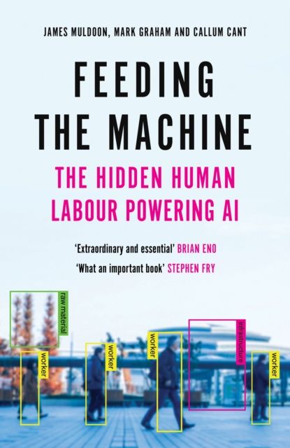Feeding the Machine : The Hidden Human Labour Powering AI