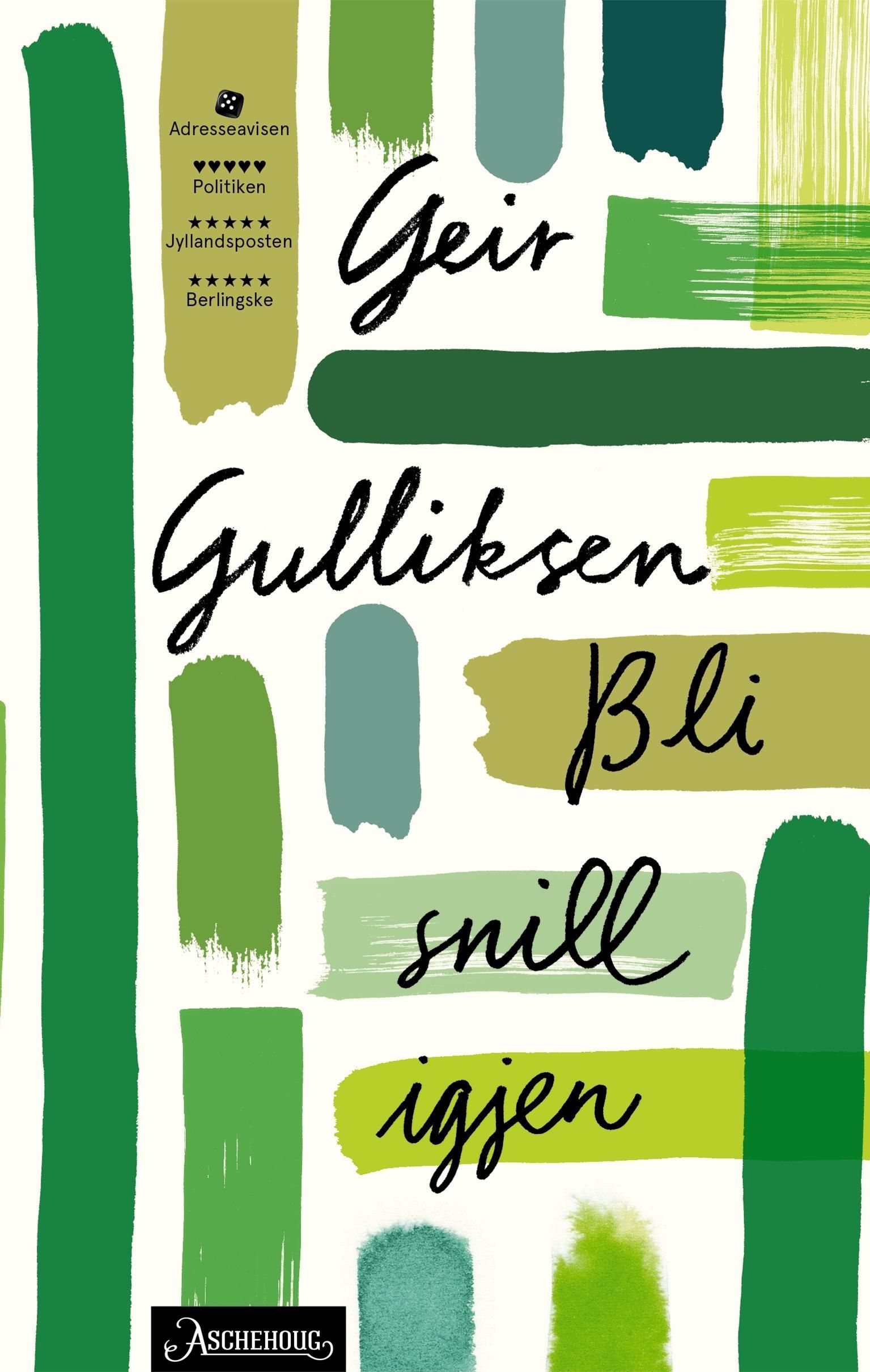 Bli snill igjen : roman