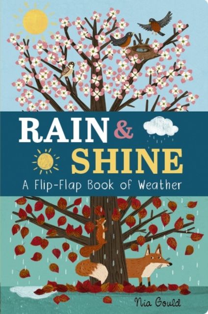 Rain & Shine: A Flip-Flap Book of Weather : A Flip-Flap Book of Weather