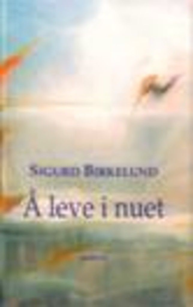 Å leve i nuet : som ein pensjonist ser det