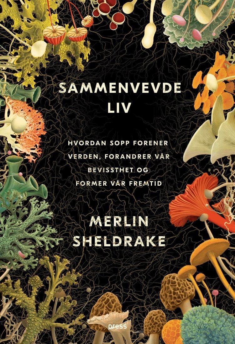 Sammenvevde liv : hvordan sopp forener verden, forandrer vår bevissthet og former vår fremtid