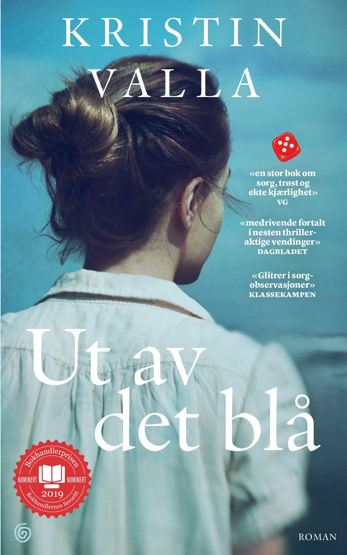 Ut av det blå : roman