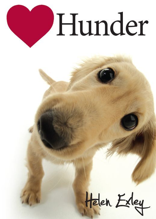 [Elsker] hunder
