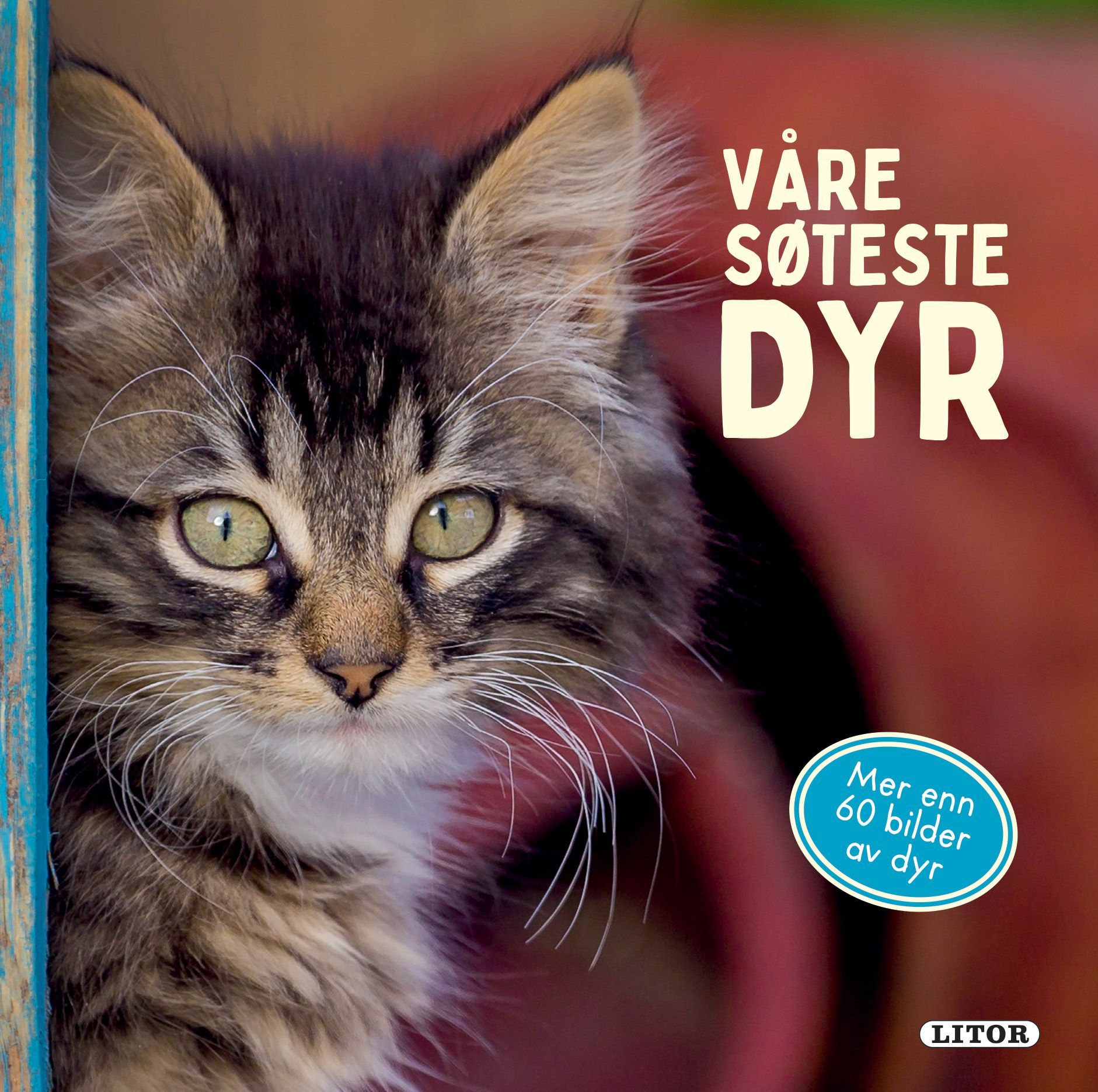 Våre søteste dyr