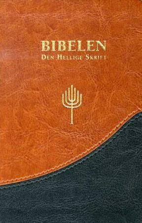 Bibelen : Den hellige skrift : Det gamle og Det nye testamentes kanoniske bøker