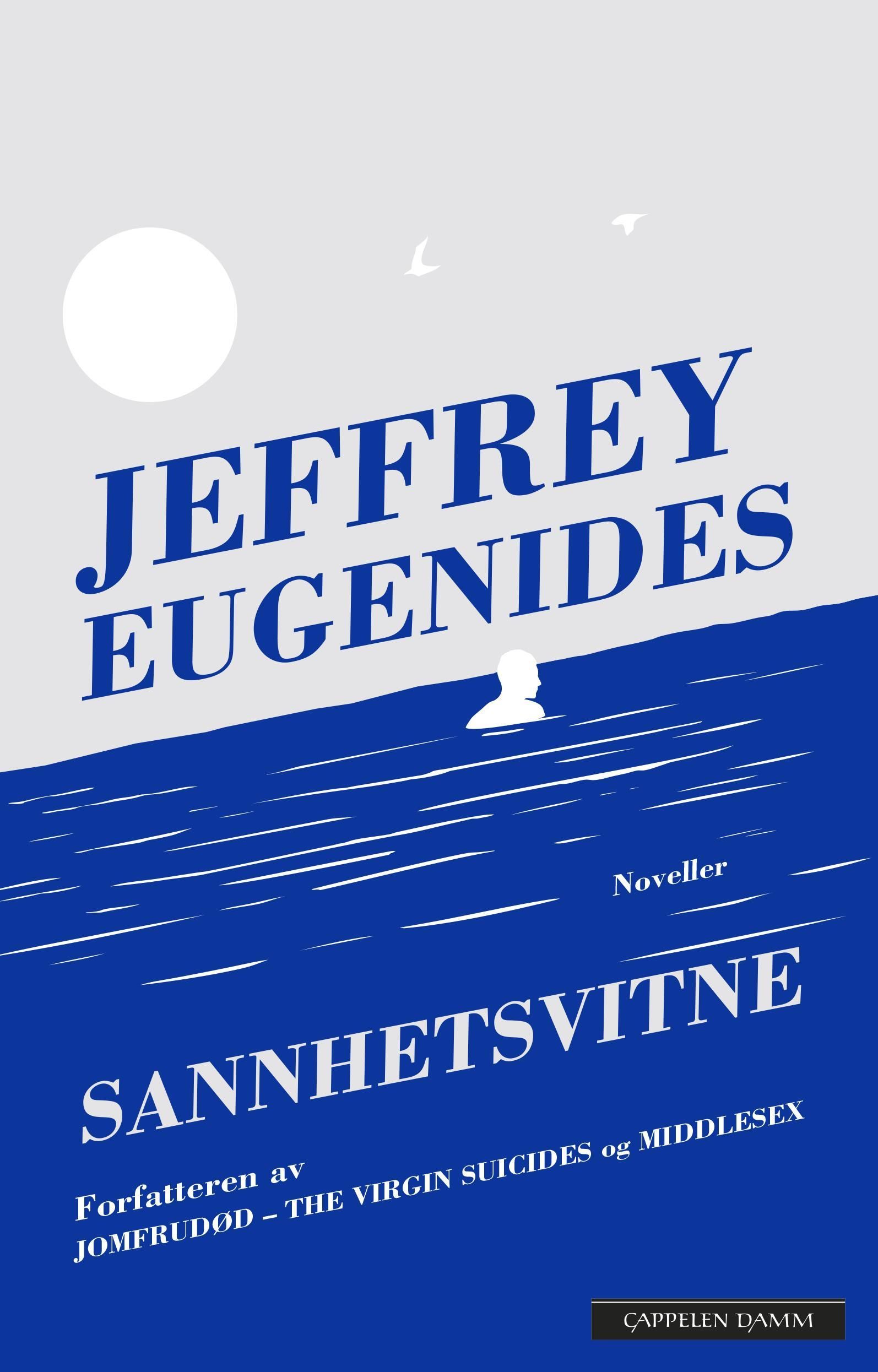 Sannhetsvitne : noveller