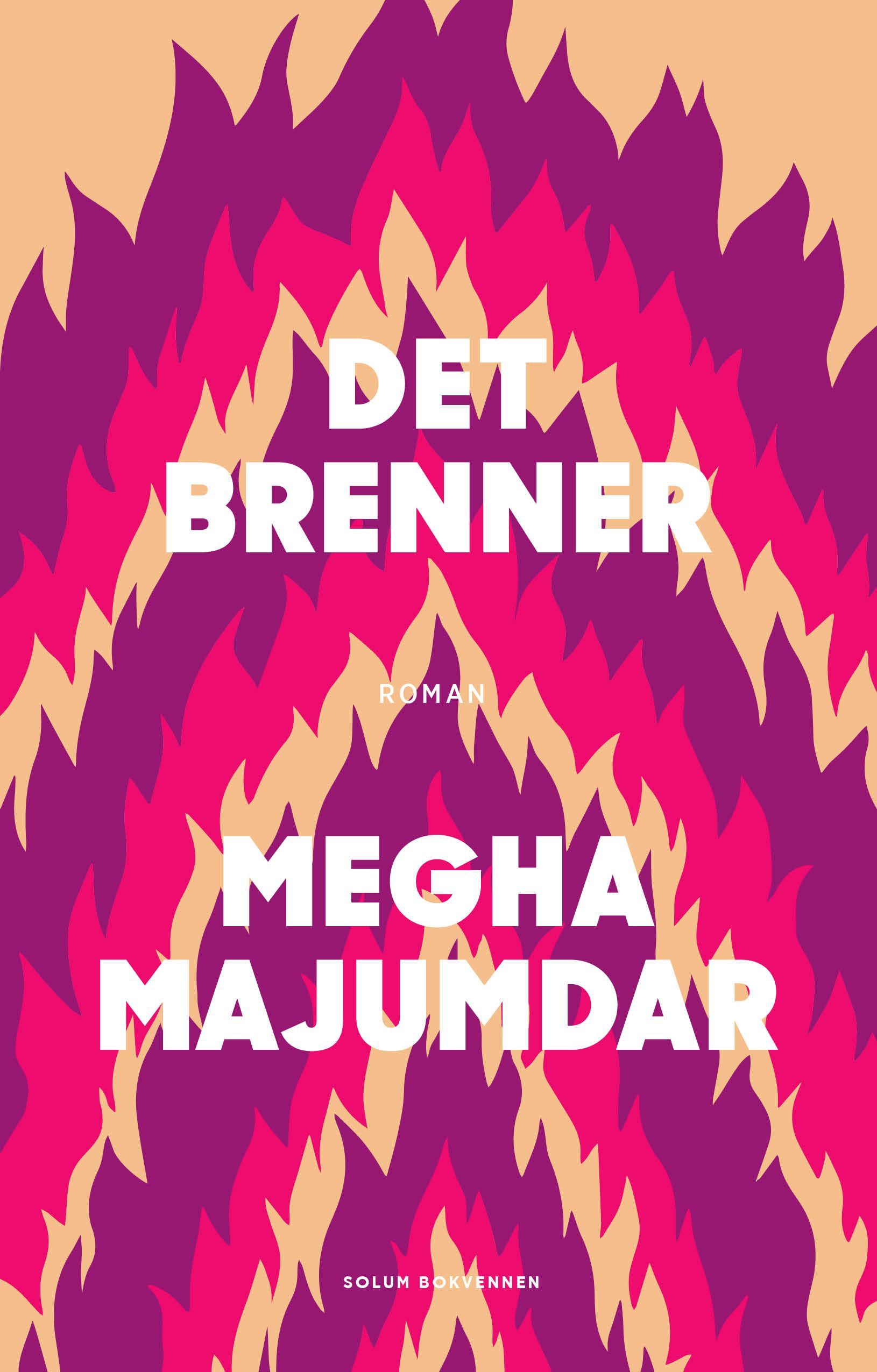 Det brenner : roman
