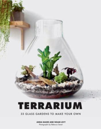 Terrarium : 33 glass gardens to make your own