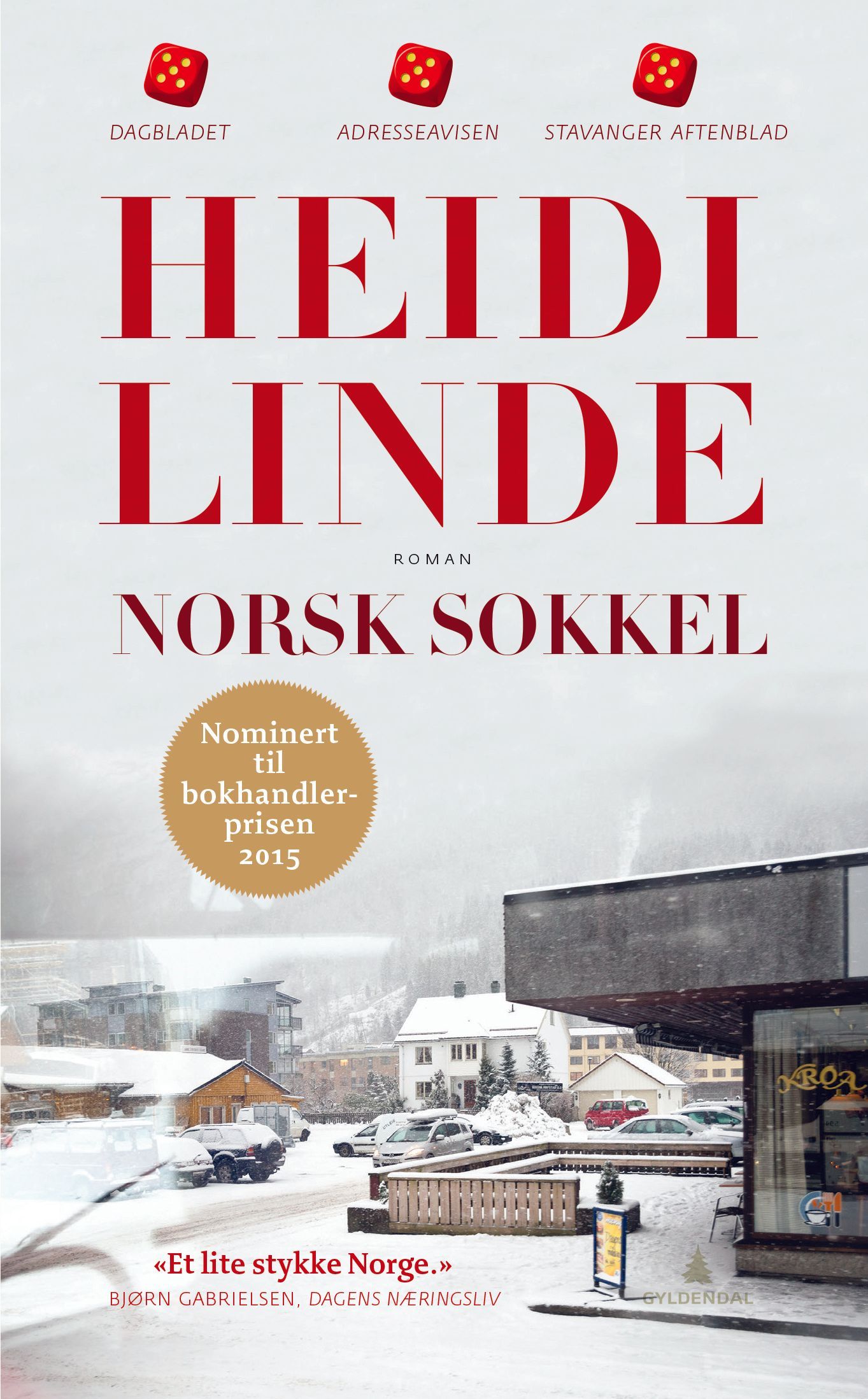 Norsk sokkel : roman