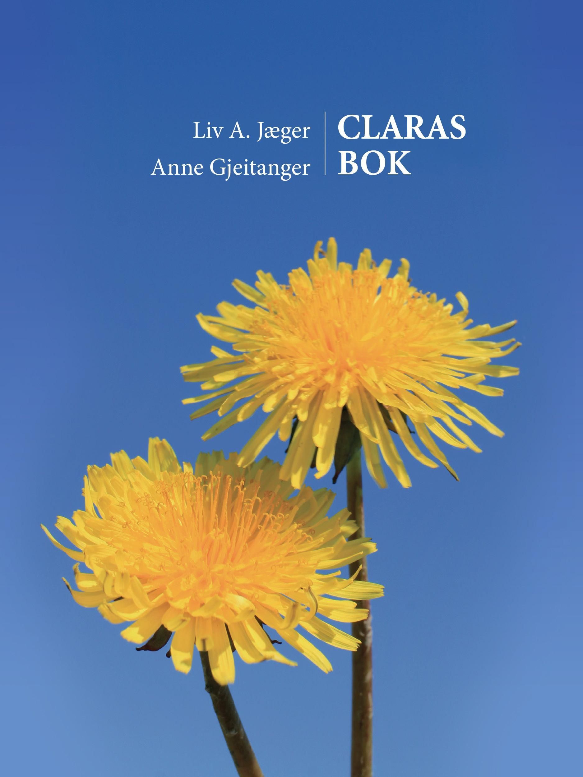 Forsidebilde av Claras bok