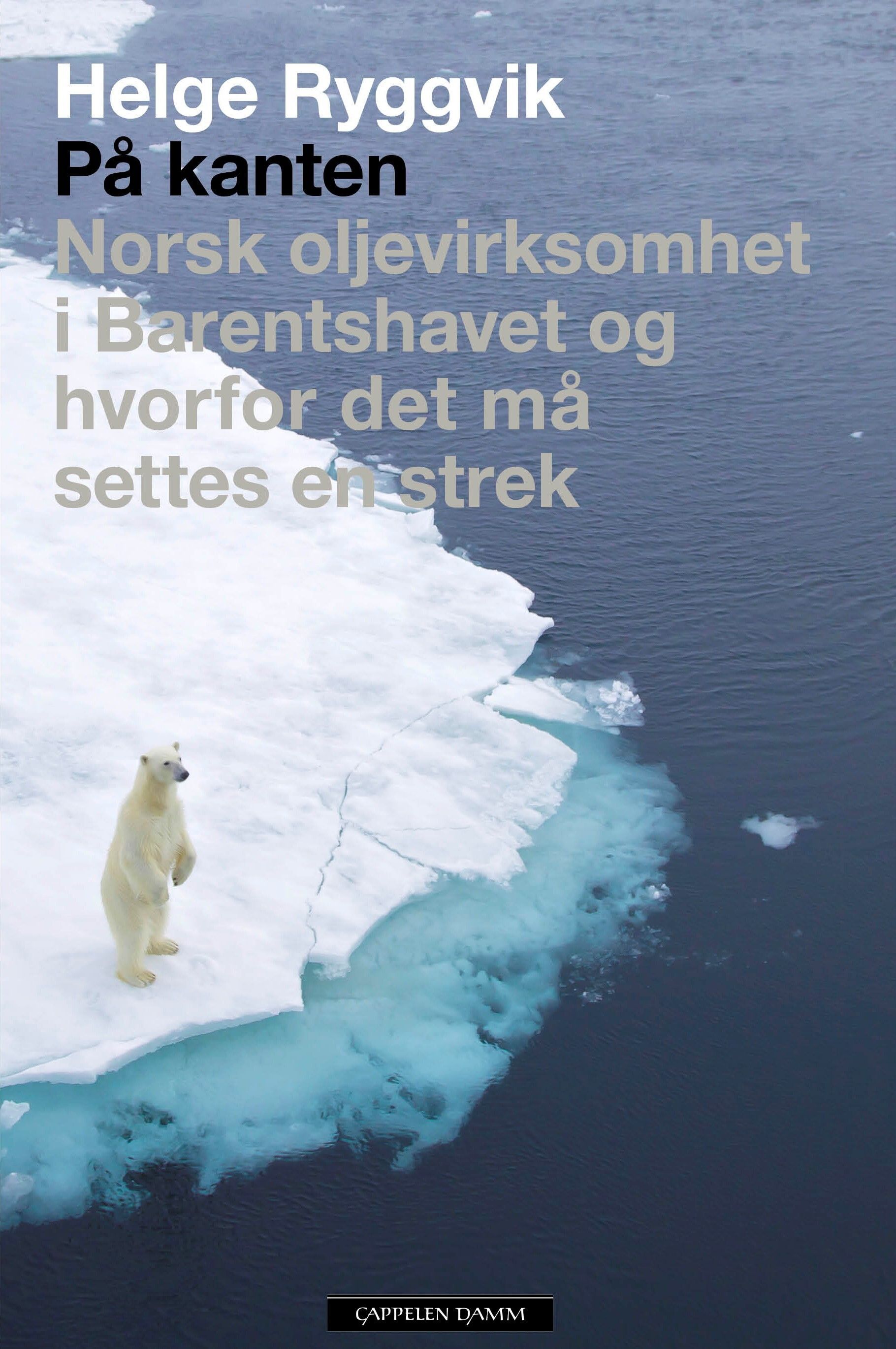På kanten : norsk oljevirksomhet i Barentshavet og hvorfor det må settes en strek