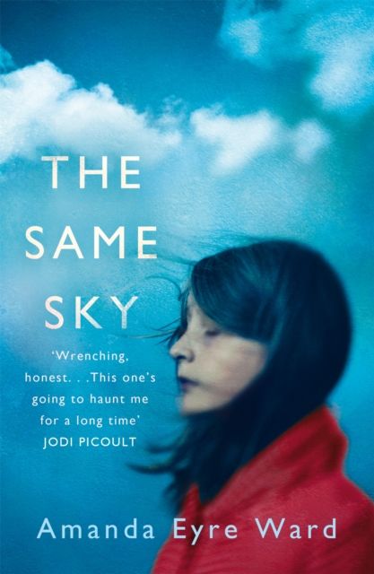 Forsidebilde av The Same Sky
