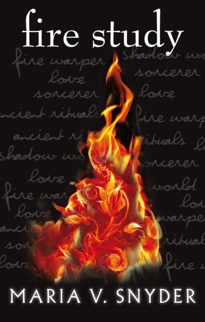 Fire study