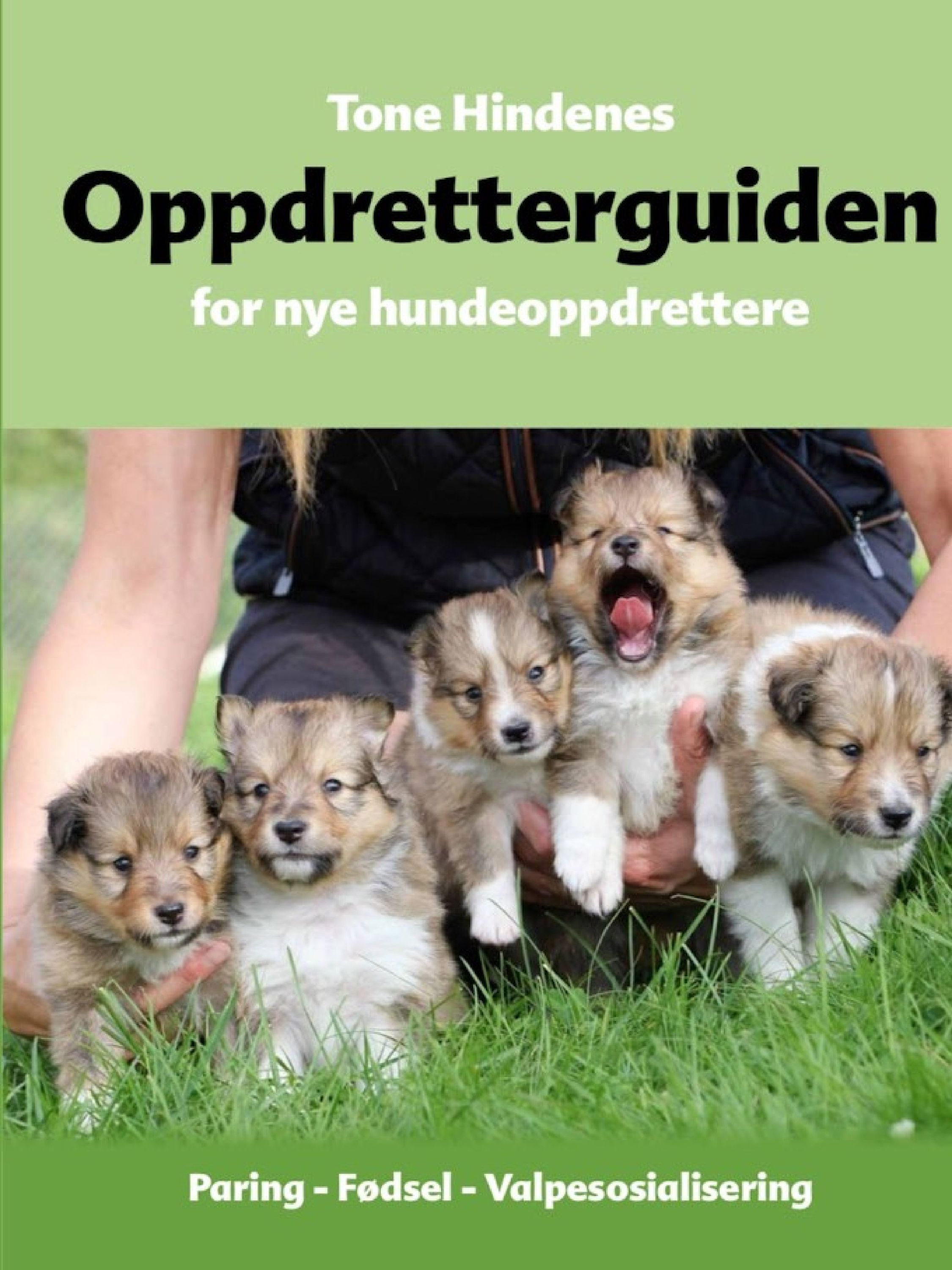 Oppdretterguiden for nye hundeoppdrettere