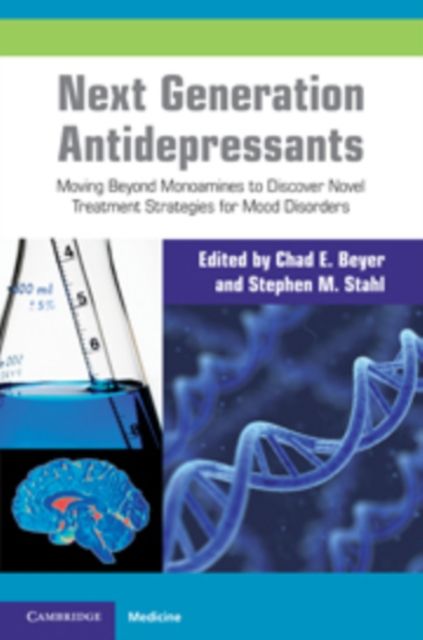 Next Generation Antidepressants : Moving Beyond Monoamines to Discover Novel Treatment Strategies for Mood Disorders